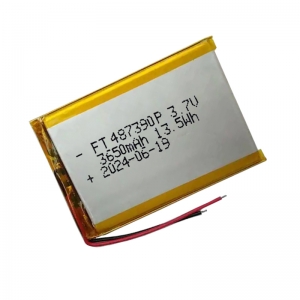 3.7v 3650mah batteries li-polymère ft487390p